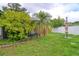 Backyard featuring green grass, mature palm tree, perimeter fence, and patio at 9516 Woodborough Ct, Tampa, FL 33615