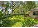Lush backyard with a mix of manicured greenery, foliage, and plenty of space for outdoor activities at 2002 Culpepper Dr, Brandon, FL 33511