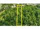 Aerial view of a long lot with a yellow border surrounded by lush trees at 26627 Brahma Dr, Wesley Chapel, FL 33544