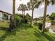 Manicured backyard lawn features palm trees, partial view of pond, and lush landscaping at 1244 E Corktree Cir, Port Charlotte, FL 33952
