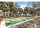 Recreational shuffleboard court surrounded by palm trees and benches at 1244 E Corktree Cir, Port Charlotte, FL 33952