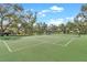 Well-maintained tennis court with a green playing surface, surrounded by lush trees and greenery at 1244 E Corktree Cir, Port Charlotte, FL 33952