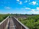 Scenic community boardwalk showcasing lush greenery and distant cityscape views on a clear day at 4307 Bayside Village Dr # 103, Tampa, FL 33615