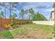 Spacious backyard with well-maintained lawn and mature landscaping along the fence line at 12990 Burns Dr, Odessa, FL 33556
