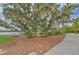 Picturesque lake view featuring mature trees, picnic tables, and a serene setting at 12990 Burns Dr, Odessa, FL 33556