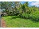 Spacious backyard with lush greenery at 5857 Fishhawk Ridge Dr, Lithia, FL 33547