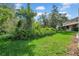 Green backyard with lush trees and a view of the house at 5857 Fishhawk Ridge Dr, Lithia, FL 33547