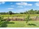 View of the backyard and trees overlooking the property at 8749 Ashworth Dr, Tampa, FL 33647