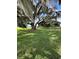 Exterior view of house with large oak tree and lush green lawn at 15200 Rawls Rd, Sarasota, FL 34240