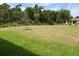 Large backyard with a grassy area and surrounding trees at 4619 Chamrade Rd, North Port, FL 34288