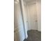 Bright hallway with two white doors at 3101 Hollow Hickory Pl, Wesley Chapel, FL 33543