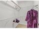 Walk-in closet with wire shelving and hanging rods at 19617 Sunset Bay Dr, Land O Lakes, FL 34638