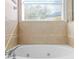 Bathroom with a large soaking tub and window at 19617 Sunset Bay Dr, Land O Lakes, FL 34638
