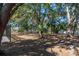 Spacious backyard with mature trees and lush landscaping at 15123 Copeland Way, Spring Hill, FL 34604