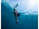 Person snorkeling underwater at 13271 Gulf Bay Ln, Spring Hill, FL 34609