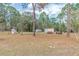Expansive backyard showcasing a shed, camper, and equipment, surrounded by tall trees at 8279 Sunshine Grove Rd, Brooksville, FL 34613