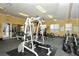 Community gym with weight machines, free weights, and lots of space for activities at 5520 Rosehill Rd # 201, Sarasota, FL 34233