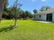 Expansive backyard featuring lush green grass, a young tree, and a seamless transition to a private, wooded area at 1608 Alliance Ave, North Port, FL 34286