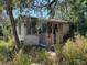 Exterior of a house with a chimney and overgrown yard at 655 36Th S Ave, St Petersburg, FL 33705