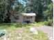 Modest single story home featuring an overgrown front yard and a mailbox at 665 36Th S Ave, St Petersburg, FL 33705