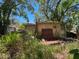 Back exterior view of the home surrounded by dense vegetation and overgrown landscaping at 665 36Th S Ave, St Petersburg, FL 33705