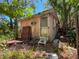 Back exterior view of the home surrounded by dense vegetation and overgrown landscaping at 665 36Th S Ave, St Petersburg, FL 33705