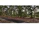 Enjoy a walk along the serene path surrounded by a lush tree line in the community at 13197 Gulf Bay Ln, Spring Hill, FL 34609