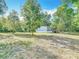 Spacious backyard surrounded by mature trees and lush greenery, perfect for outdoor activities at 6008 Angus Valley Dr, Wesley Chapel, FL 33544