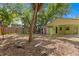 Large backyard surrounded by mature trees and greenery, offering a private outdoor space at 107 W Woodlawn Ave, Tampa, FL 33603