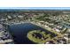 Aerial shot displays a house next to a pond with an island in a well-maintained neighborhood at 1739 Broad Winged Hawk Dr, Ruskin, FL 33570