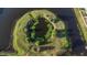 Elevated view highlights a center-island pond surrounded by lush greenery, creating a tranquil community focal point at 1739 Broad Winged Hawk Dr, Ruskin, FL 33570
