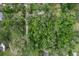 Aerial view showcases a heavily treed lot, providing privacy and natural beauty in a community setting at 8309 Oakgren Rd, Brooksville, FL 34601