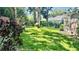 Expansive backyard with lush green grass and mature trees, perfect for outdoor activities at 1138 Lumsden Trace Cir, Valrico, FL 33594