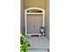 Inviting front entry featuring a double door, arched transom window, and decorative potted plant at 1138 Lumsden Trace Cir, Valrico, FL 33594