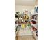 Walk-in pantry with wire shelving provides ample storage space at 1138 Lumsden Trace Cir, Valrico, FL 33594