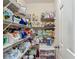 Walk-in pantry offering ample storage space with organized shelving for groceries and household items at 6812 Gideon Cir, Zephyrhills, FL 33541