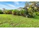 Lush backyard featuring tropical palm trees lining a screened-in enclosure at 5728 Colonial Dr, New Port Richey, FL 34653