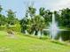 Scenic pond view with a fountain and a bench, perfect for relaxing in nature at 6806 Monique Ave, Tampa, FL 33625