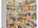 Well-organized pantry with wire shelving, offering ample storage space at 11928 Frost Aster Dr, Riverview, FL 33579