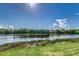 Peaceful lake view with lush greenery at 5330 Silver Sun Dr, Apollo Beach, FL 33572