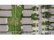 Aerial view of neighborhood homes at 12730 Lemon Pepper Dr, Riverview, FL 33578