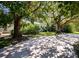 Mature trees shade walkway leading to home entrance at 1479 S Evergreen Ave, Clearwater, FL 33756
