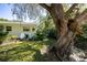 Peaceful backyard with two chairs under a large shade tree at 1479 S Evergreen Ave, Clearwater, FL 33756