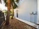 Side exterior view featuring a walkway, palm trees, and gray siding with a back door at 1793 N Fort Harrison Ave, Clearwater, FL 33755