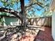 This backyard is partially shaded by a large, mature tree at 4201 S Renellie Dr, Tampa, FL 33611