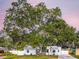 Charming single-story home featuring a large tree providing shade and a well-maintained lawn at 4201 S Renellie Dr, Tampa, FL 33611