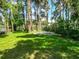 Lush backyard with mature trees and foliage, leading to the waterfront at 6317 Discovery Ln, Land O Lakes, FL 34638