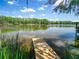 Scenic lake view featuring a private dock and tranquil water at 6317 Discovery Ln, Land O Lakes, FL 34638