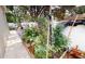 Enclosed outdoor garden area with rich plantings of vegetables, fruits, and flowers, all receiving ample sunlight at 4506 Gentrice Dr, Valrico, FL 33596