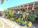 Exterior view of a home's backyard featuring a covered patio surrounded by a lush array of potted plants at 7943 Woodvine Cir, Tampa, FL 33615